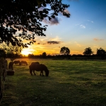 zonsondergang 4 zonsondergang 4