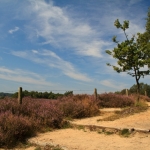 posbank 2 posbank 2