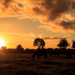 zonsondergang 5 zonsondergang 5