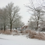 winter 1 winter 1