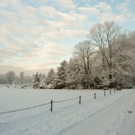 winter 2 winter 2