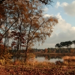 herfst 6 herfst 6