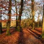 herfst 7 herfst 7