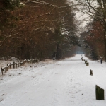 winter 4 winter 4