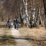 wandelaars wandelaars