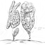 drawing 029 drawing 029