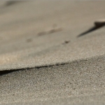 Zand 03 Zand 03