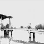 Wetlands Passewaaij 5 Wetlands Passewaaij 5