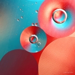 Olie en Water Olie en Water