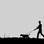 Silhouetten Silhouetten