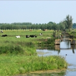 Alblasserwaard 01 Alblasserwaard 01