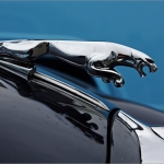 Jaguar Jaguar