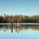 Crobsewaard Crobsewaard
