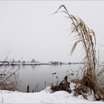 Winter aan de lek 03 Winter aan de lek 03