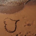 vakantie vakantie