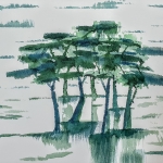 Groepje bomen. Groepje bomen.