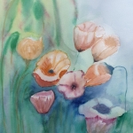 Papavers. Papavers.