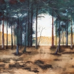 Het bos. Het bos.