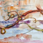 Octopus. Octopus.