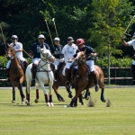 Paarden polo Paarden polo