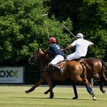 Paardenpolo 2 Paardenpolo 2