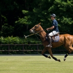 Paardenpolo 3 Paardenpolo 3