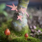 Herfst duo Herfst duo