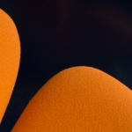 Orange Orange