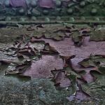 Decay Decay