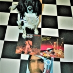 Cuddle the dog and his vinyl collection 9