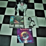 Cuddle the dog and his vinyl collection 18