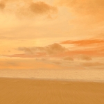 Mindfulness Mindfulness