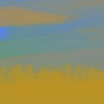 Consciousness Consciousness