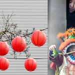Vuurwerk Vuurwerk