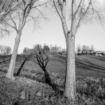 Hoge Bergse bos Hoge Bergse bos