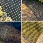 Toscane Toscane