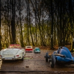 Gaan er auto's rijden door het bos? Gaan er auto's rijden door het bos?