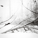 Winterlandschap I Winterlandschap I