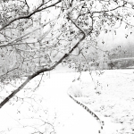 Winterlandschap IV Winterlandschap IV