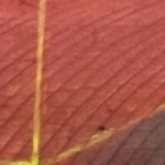 C 3 C 3