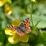 Landkaartje Landkaartje