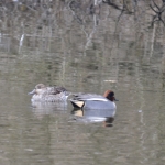 Wintertaling Wintertaling