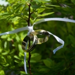 Ringen Ringen