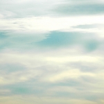 Kust #4 Kust #4