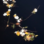 autumn art #2 autumn art #2