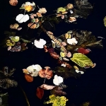 autumn art #3 autumn art #3