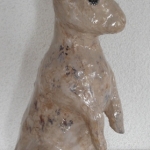 Peter Rabbit Peter Rabbit
