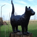 Poes Poes