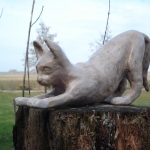 Poes Poes