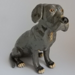 Cane Corso Cane Corso